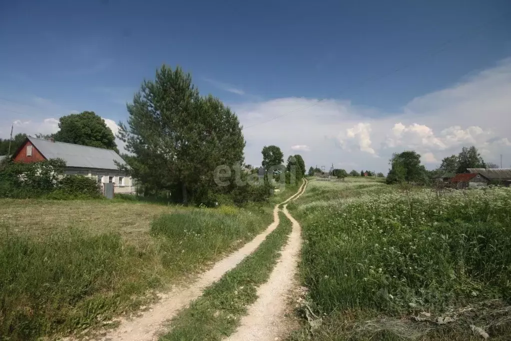 Участок в Калужская область, Медынский муниципальный округ, с. ... - Фото 1