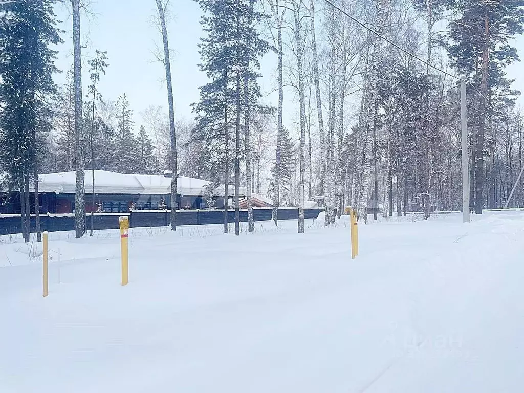 Участок в Новосибирская область, Новосибирск  (8.0 сот.) - Фото 2