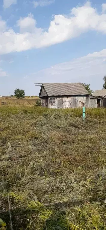Дом в Саратовская область, Балашовский район, Пинеровка рп ул. ... - Фото 0