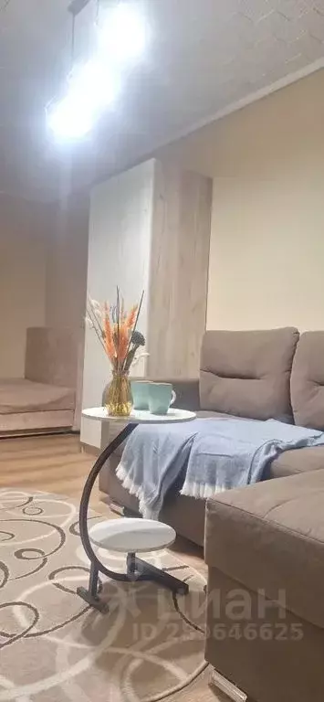 1-к кв. Амурская область, Благовещенск ул. Ленина, 193 (38.0 м) - Фото 2