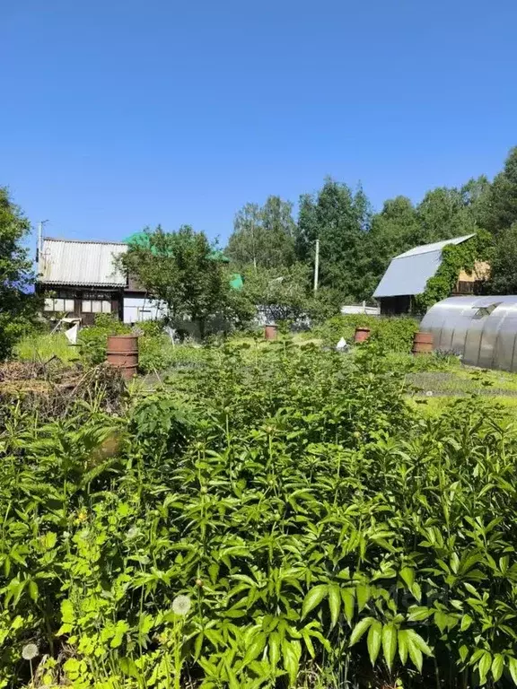 Дом в Тюменская область, Тюмень Тополя СНТ, ул. 1-я (20 м) - Фото 2