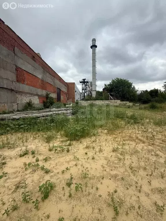 Участок в Саратов, микрорайон Елшанка (24 м) - Фото 1