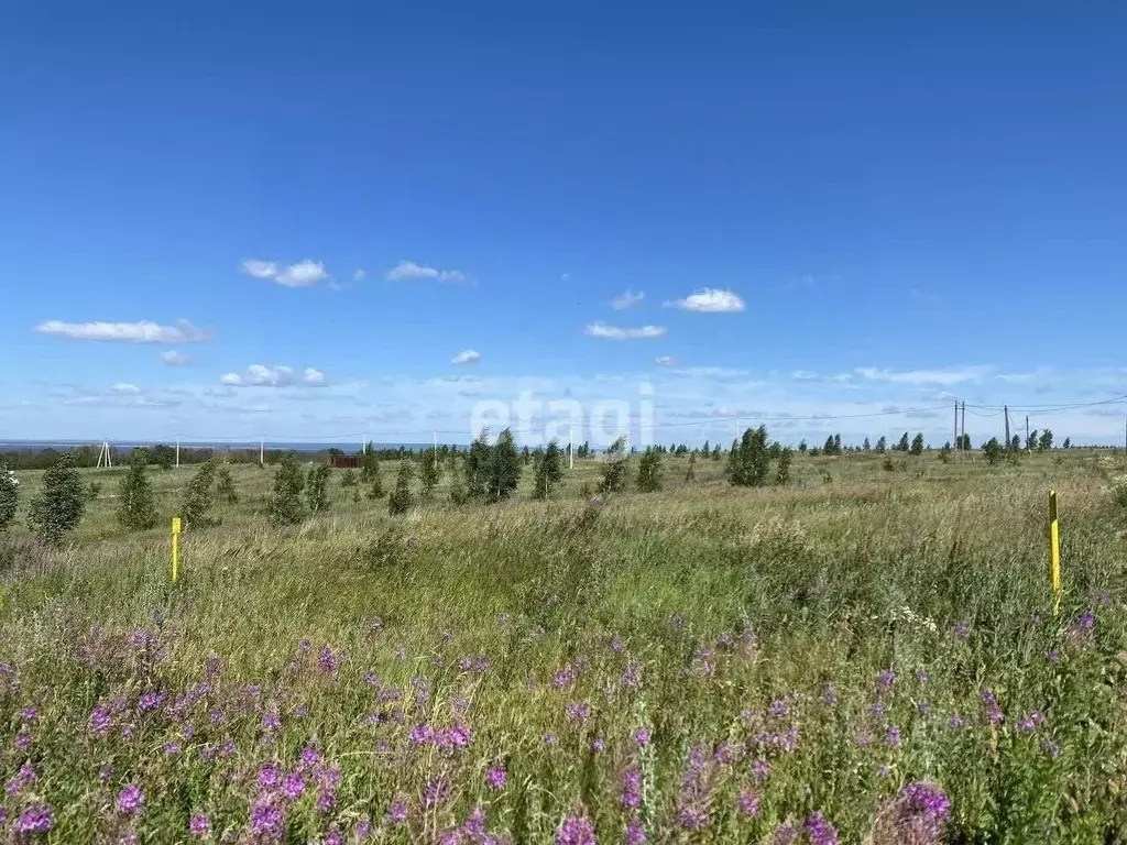 Участок в Татарстан, Тукаевский район, Биюрганское с/пос, д. Кулушево  ... - Фото 1