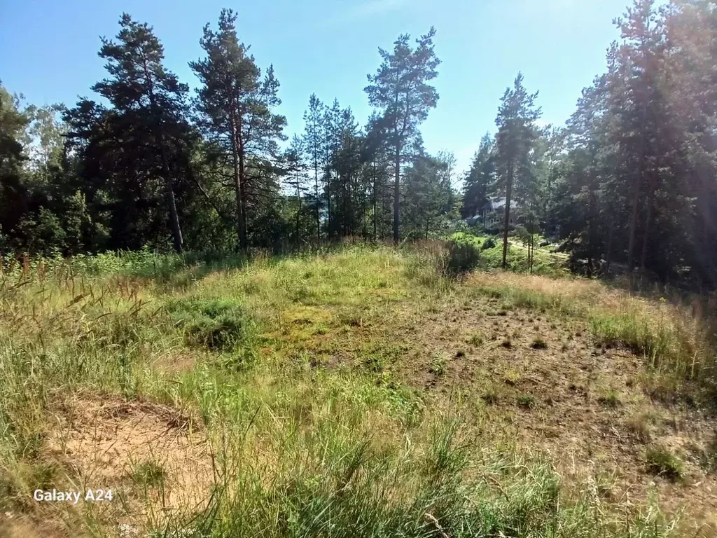 Участок в Ленинградская область, Лужский район, Толмачево городской ... - Фото 1