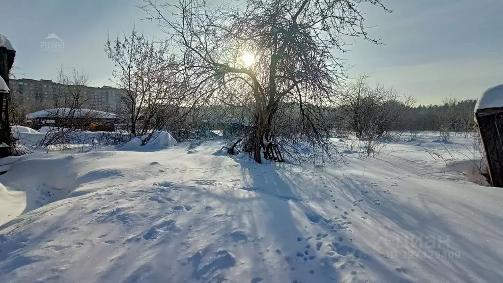 Участок в Московская область, Богородский городской округ, д. Щемилово ... - Фото 1