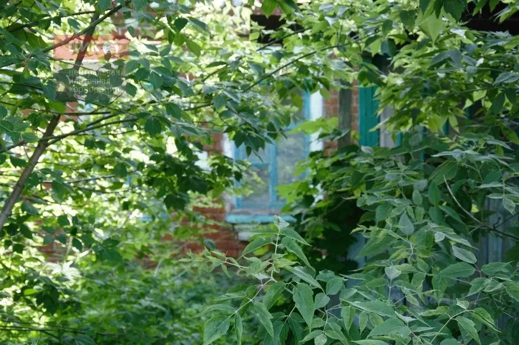 Дом в Рязанская область, Захаровский муниципальный округ, с. Плахино ... - Фото 2