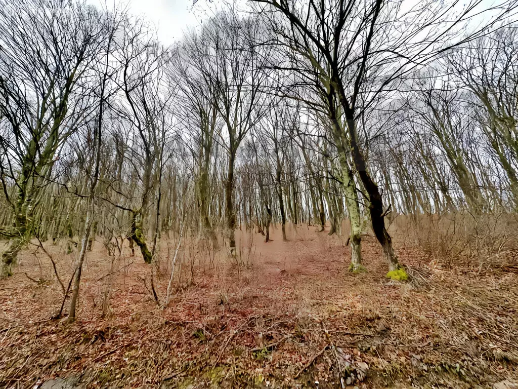 Участок в село Хамышки, Полевая улица, 17 (10 м) - Фото 2