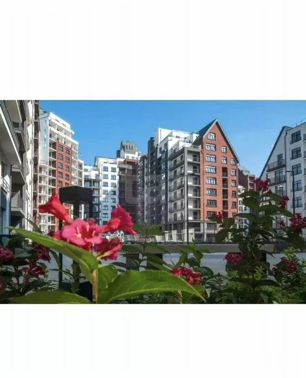 2-комнатная квартира: Калининград, улица Молодой Гвардии, 34 (52 м) - Фото 1