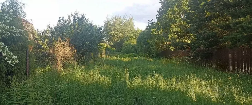 Участок в Московская область, Мытищи городской округ, д. Осташково 10 ... - Фото 2