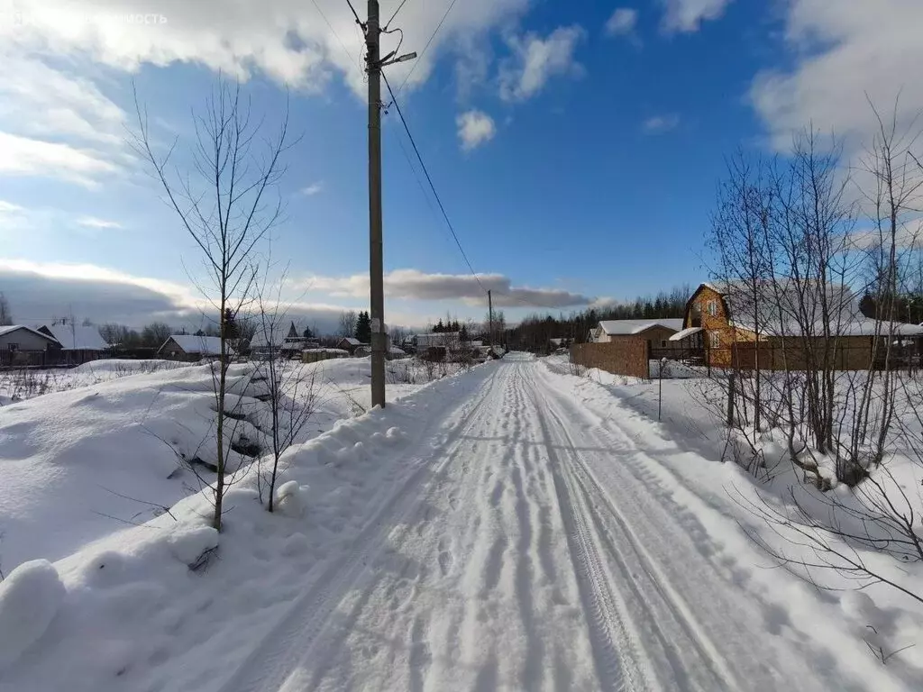Участок в Форносовское городское поселение, СНТ Родничок (10 м) - Фото 2
