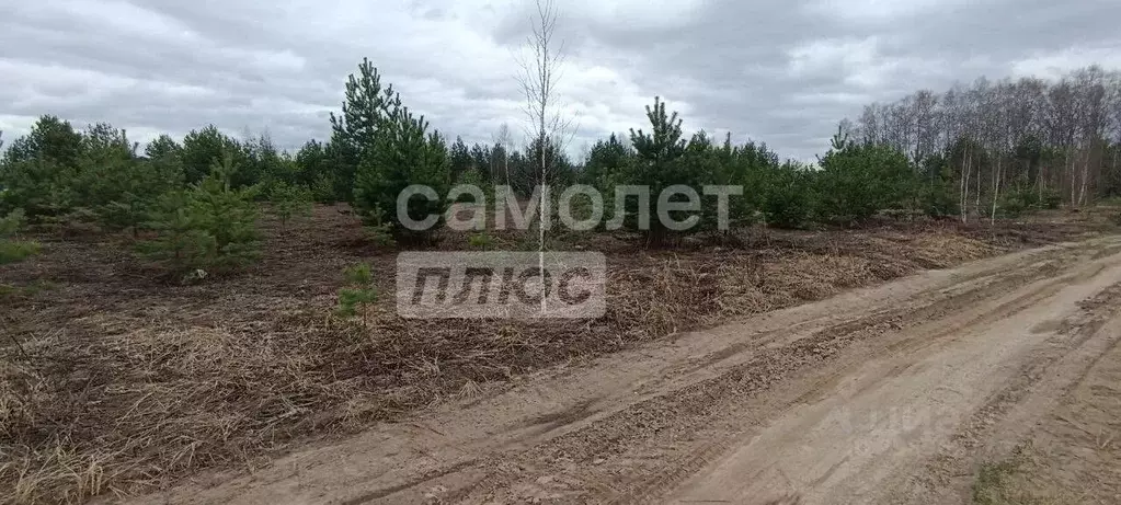 Участок в Владимирская область, Суздальский район, Боголюбовское ... - Фото 1