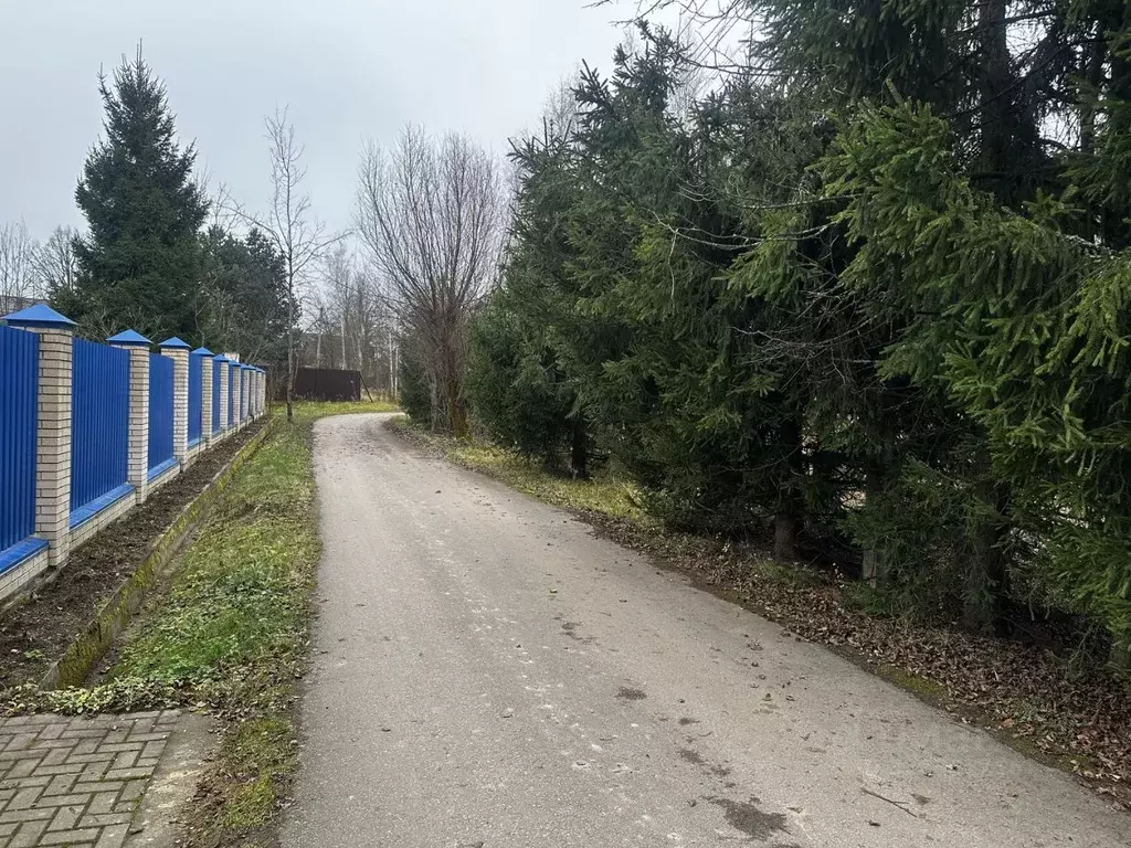 Участок в Московская область, Истра муниципальный округ, д. Рубцово ... - Фото 1