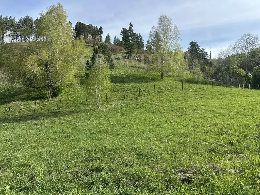 Участок в Алтай, Майминский район, с. Бирюля Окаинская ул., 24 (140.0 ... - Фото 1