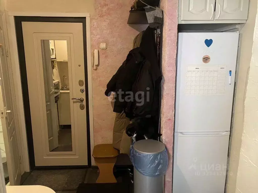 2-к кв. Воронежская область, Воронеж Волгоградская ул., 33 (24.3 м) - Фото 1