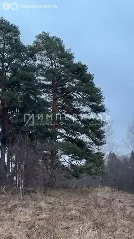 Участок в Калужская область, Жуковский муниципальный округ, деревня ... - Фото 1