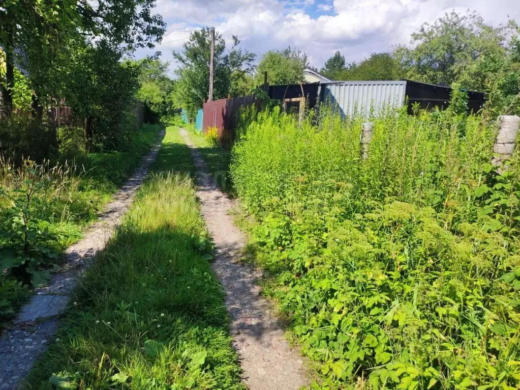 Участок в Калининградская область, Калининград Дельфин СНТ, ул. ... - Фото 0