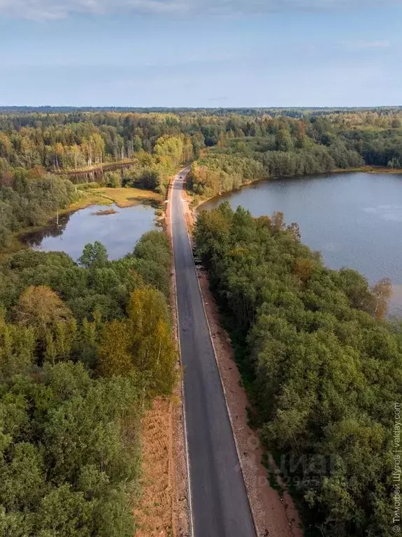 Участок в Новгородская область, Демянский муниципальный округ, с. ... - Фото 2