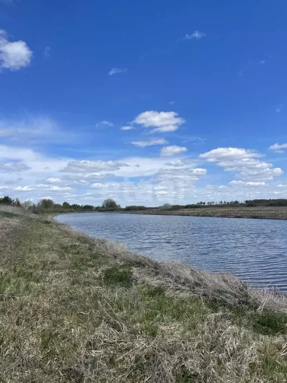 Участок в Тюменская область, Тюменский район, с. Борки  (45.7 сот.) - Фото 0