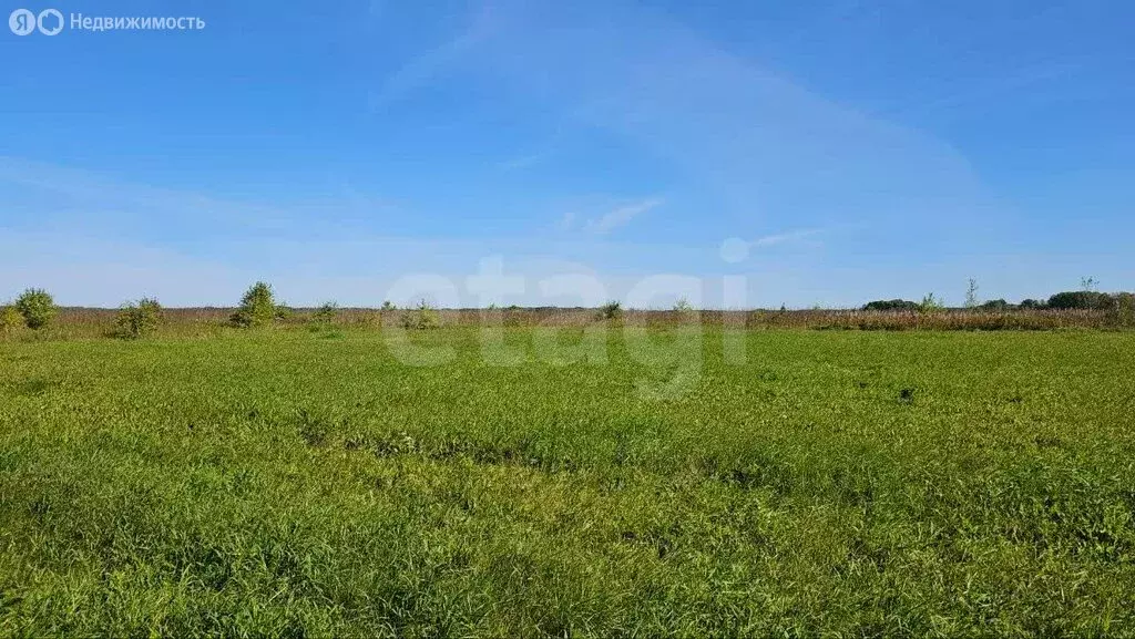 Участок в Тюменская область, Нижнетавдинский муниципальный округ, ... - Фото 2