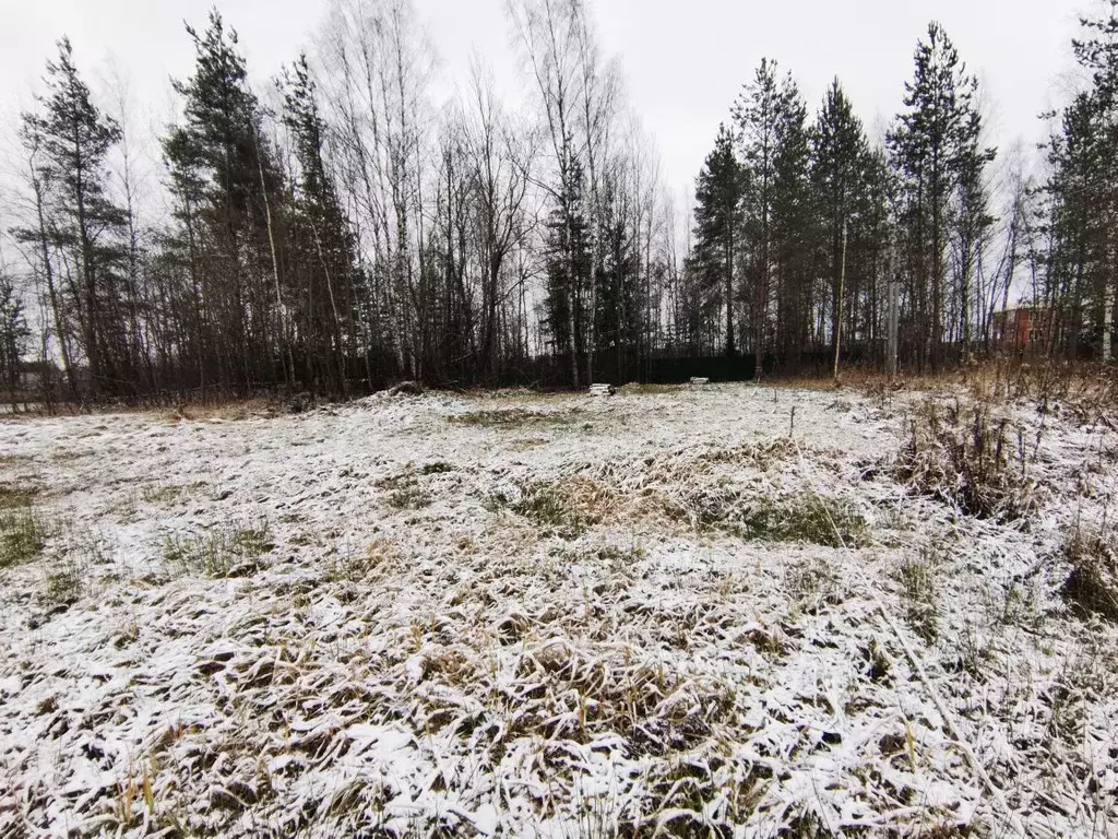 Участок в Ивановская область, Ивановский район, с. Ново-Талицы ул. ... - Фото 2