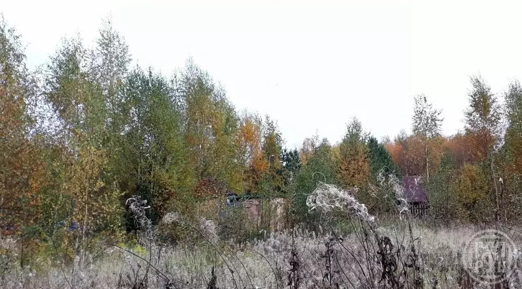 Участок в Ленинградская область, Выборгский район, Советское городское ... - Фото 2