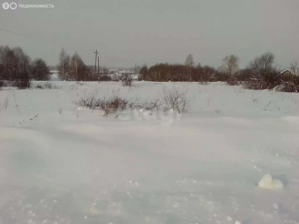 Участок в деревня Фролово, квартал Косарево (29 м) - Фото 2