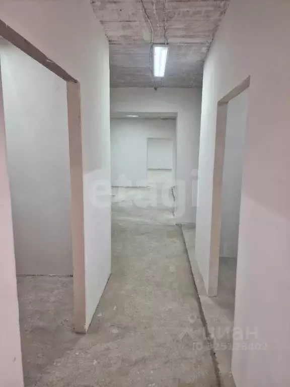 Помещение свободного назначения в Краснодарский край, Геленджик ... - Фото 2