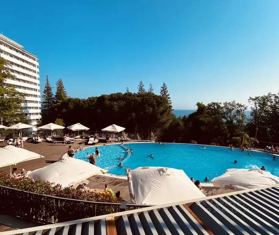 Студия Краснодарский край, Сочи Курортный просп., 105 (17.4 м) - Фото 1