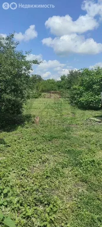 Дом в Губкин, улица Бубнова, 29 (76 м) - Фото 1