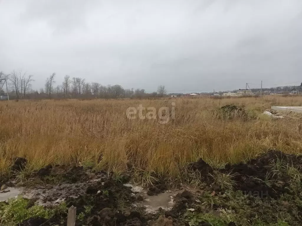 Участок в Ульяновская область, Ульяновск городской округ, с. Луговое ... - Фото 1