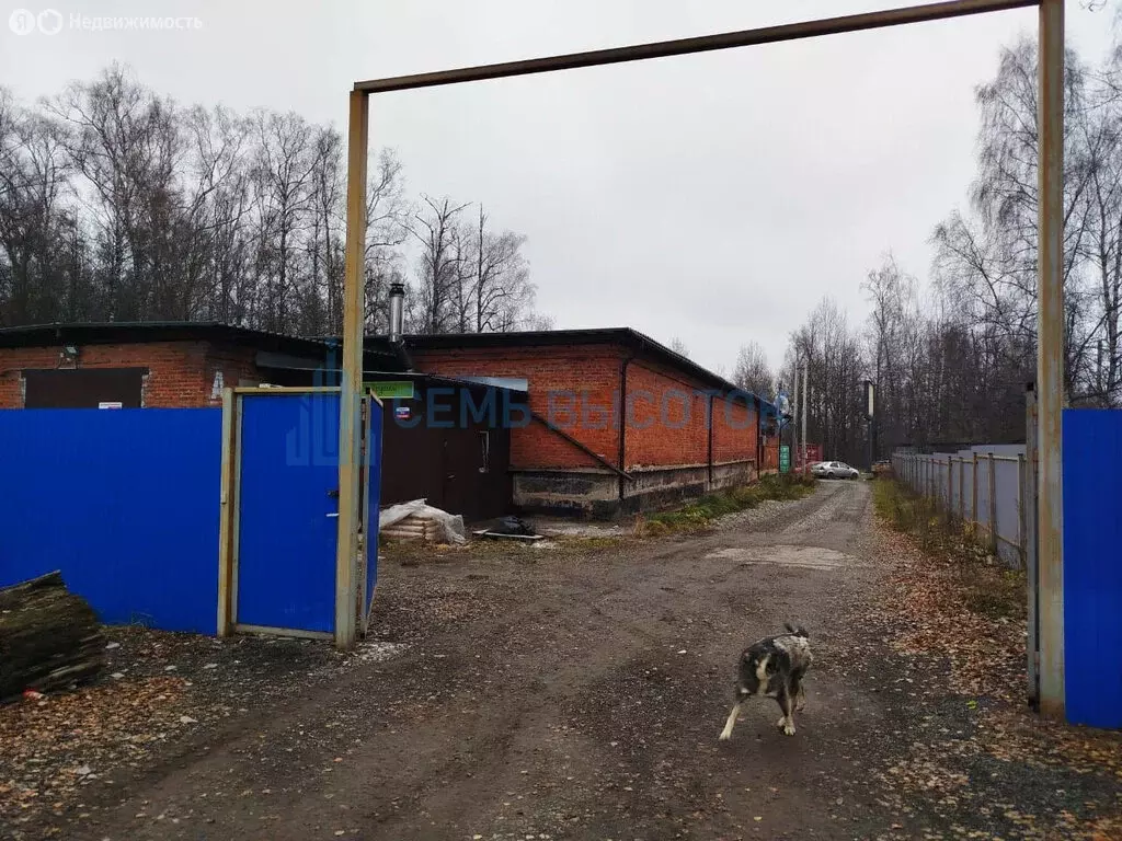 Помещение свободного назначения (750 м) - Фото 1