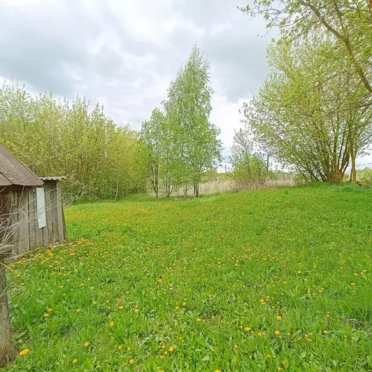 Участок в Брянская область, Карачевское городское поселение, Деревня ... - Фото 1
