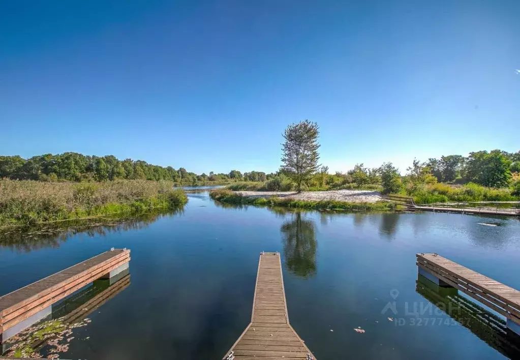 Участок в Воронежская область, Рамонский район, Айдаровское с/пос, ... - Фото 2