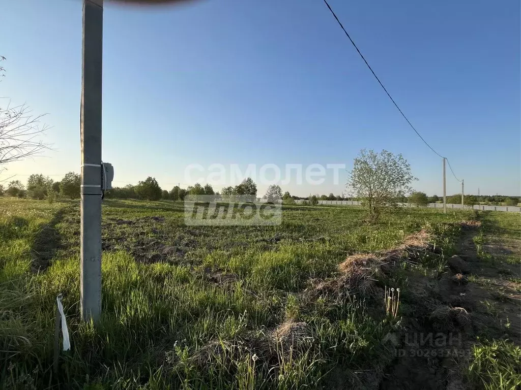 Участок в Владимирская область, Александровский муниципальный округ, ... - Фото 1