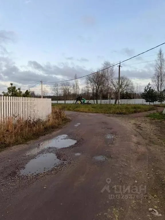 Участок в Ленинградская область, Всеволожский район, Романовское с/пос ... - Фото 1