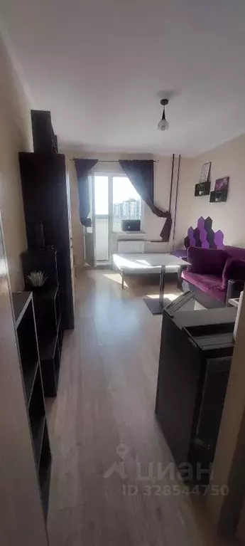 Студия Московская область, Солнечногорск городской округ, Голубое пгт ... - Фото 2