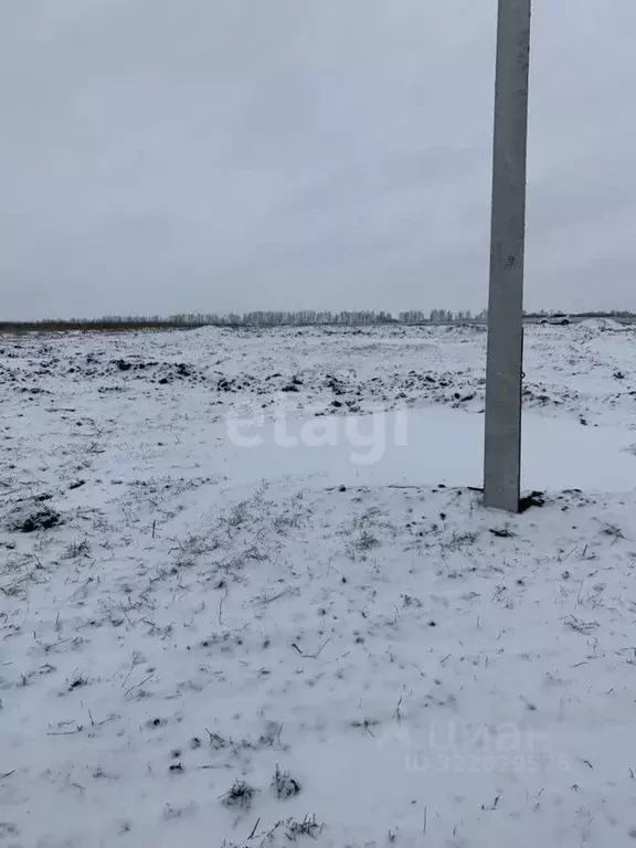 Участок в Белгородская область, Белгородский район, Головинское с/пос, ... - Фото 2