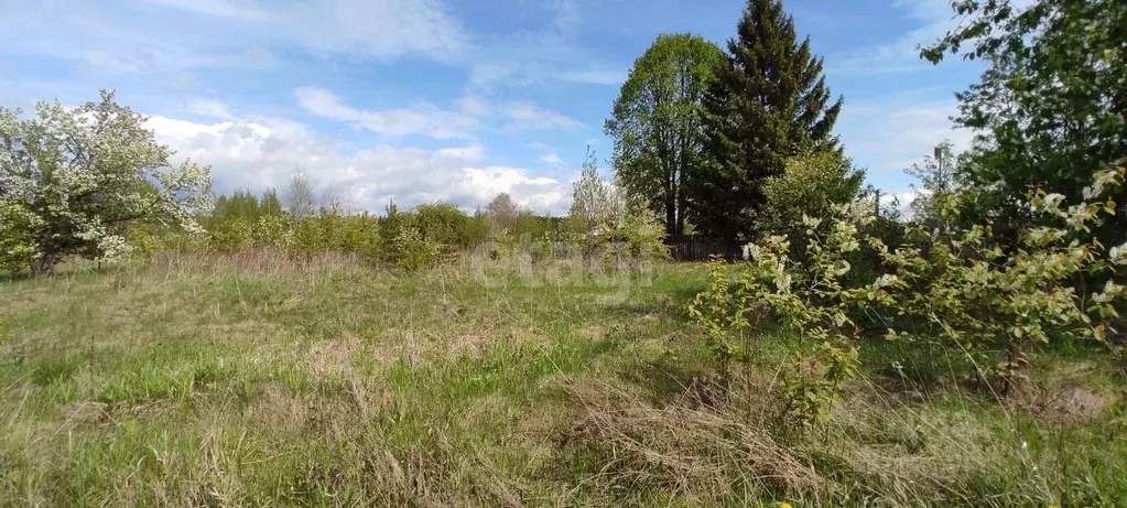 Участок в Свердловская область, Нижний Тагил ул. Большая Кольцевая ... - Фото 1