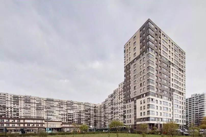 1-к кв. Санкт-Петербург Пискаревский просп., 25к2 (40.0 м) - Фото 2