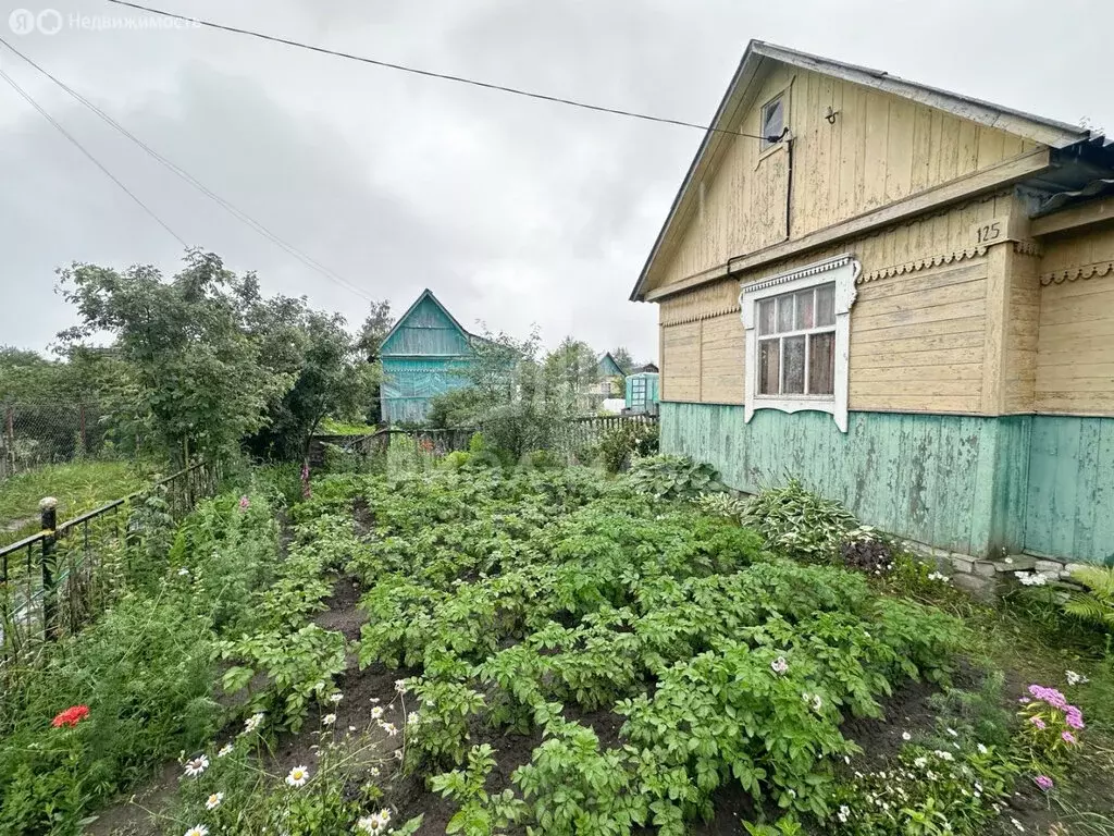 Дом в Чернетовское сельское поселение, СДТ Иволга-5, 125 (25 м) - Фото 1