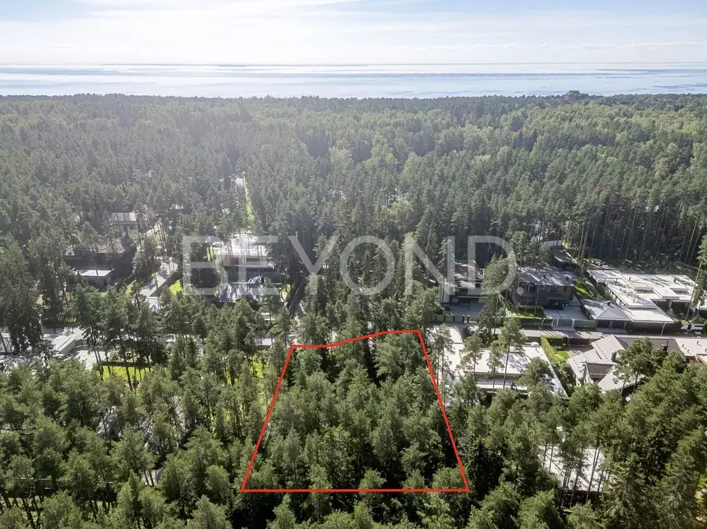 Участок в Санкт-Петербург, Санкт-Петербург, Зеленогорск Курортная ул. ... - Фото 2