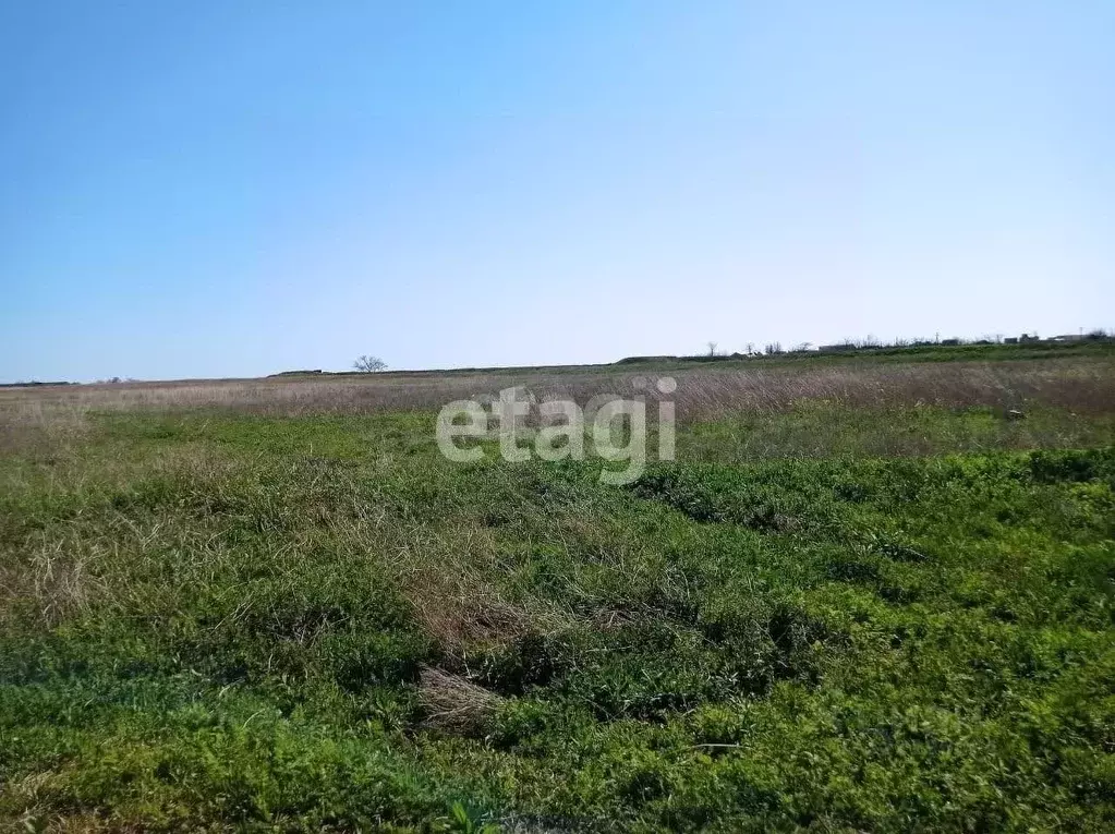 Участок в Крым, Черноморский район, с. Межводное ул. Спортивная (220.0 ... - Фото 1