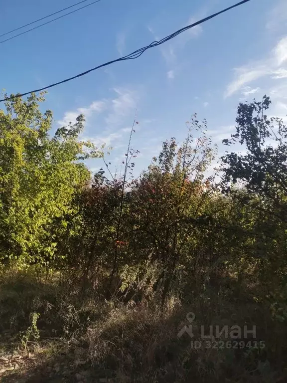 Участок в Ростовская область, Новочеркасск Надежда дп, ул. 7-я Линия, ... - Фото 1