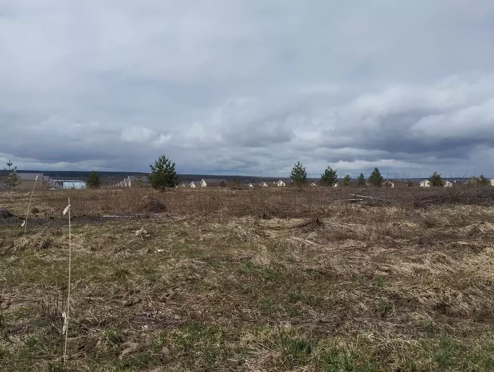 Участок в Нижегородская область, Нижний Новгород д. Малая Ельня, ул. ... - Фото 2