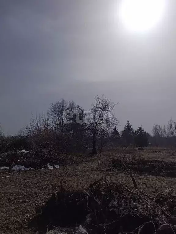 Участок в Тульская область, Тула Щекинское ш., 44 (10.0 сот.) - Фото 1