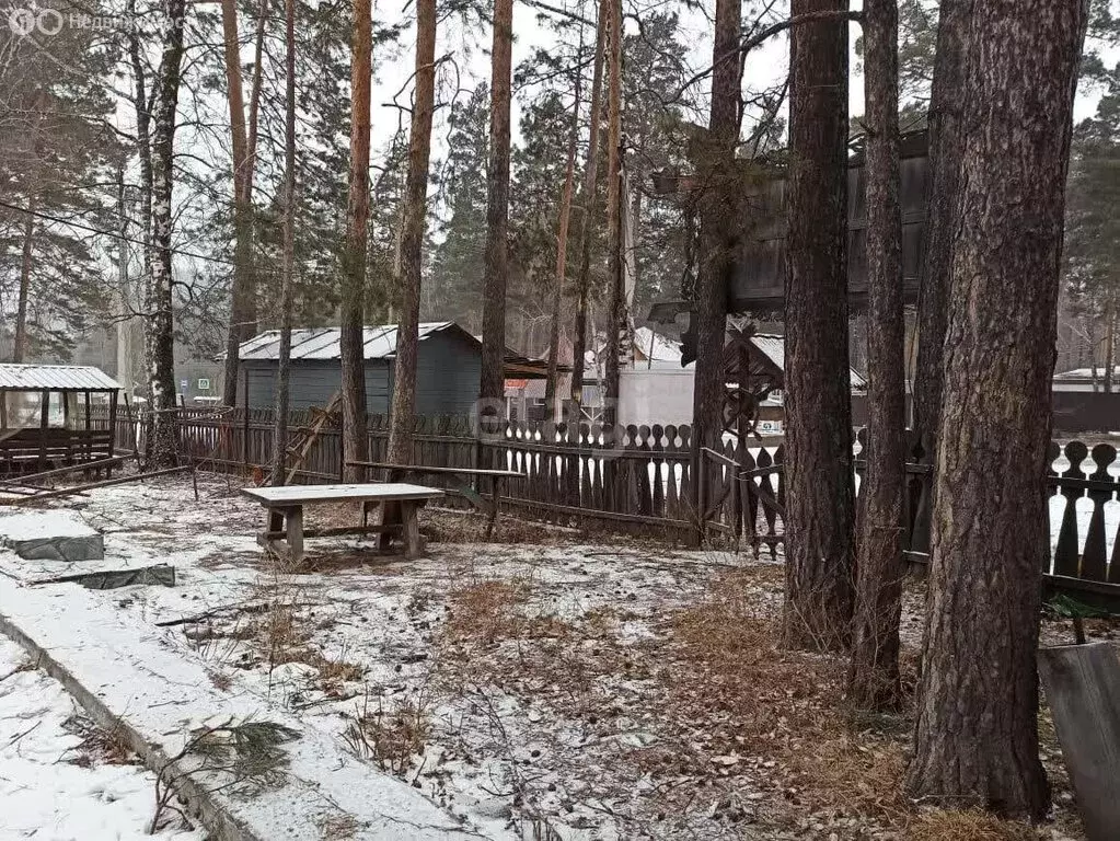 Участок в Чемальский район, село Турбаза Катунь (8.8 м) - Фото 0