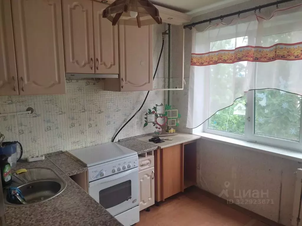 1-к кв. Ленинградская область, Гатчинский муниципальный округ, д. Мины ... - Фото 1