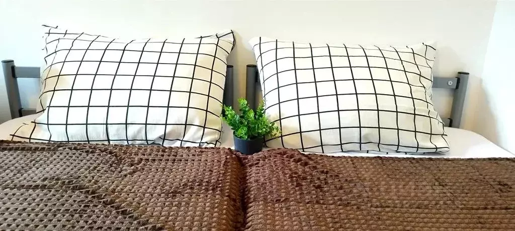 Комната Краснодарский край, Сочи Курортный просп., 75к1 - Фото 2