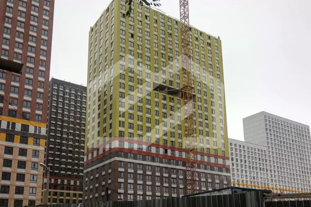 Помещение свободного назначения в Московская область, Котельники Белая ... - Фото 1