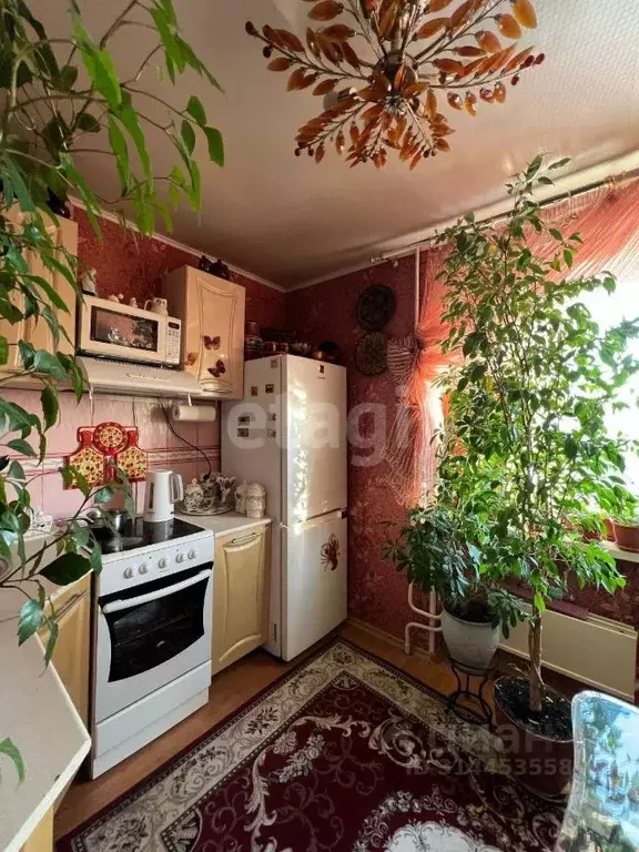 1-к кв. Свердловская область, Екатеринбург ул. Бебеля, 158 (35.0 м) - Фото 0